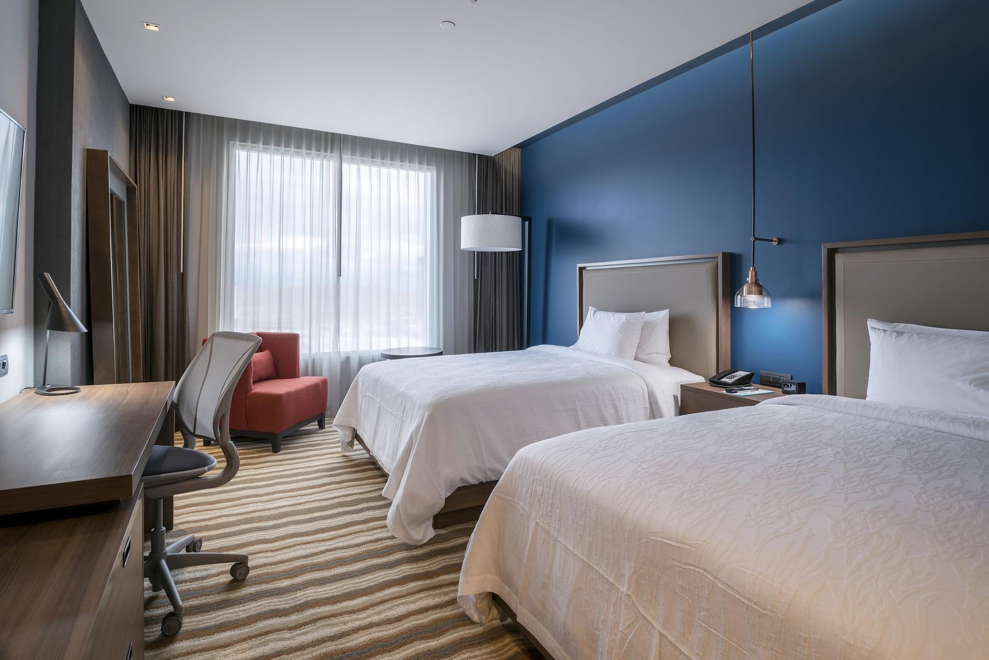 Hilton Garden Chihuahua