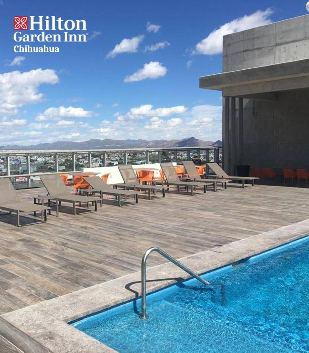 Hilton Garden Chihuahua