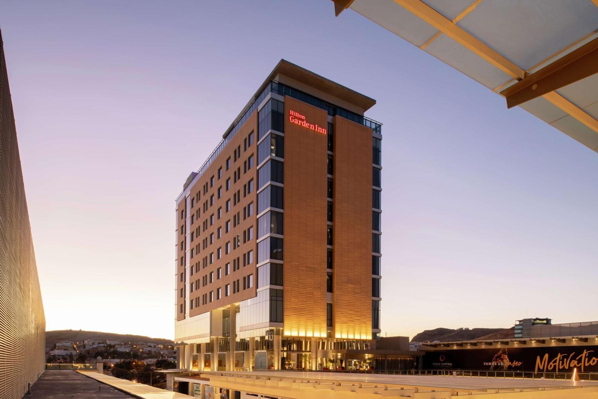 Hilton Garden Chihuahua